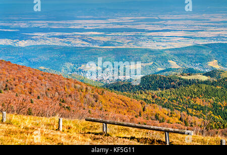 Bunte Herbst Landschaft der Vogesen im Elsass, Frankreich Stockfoto