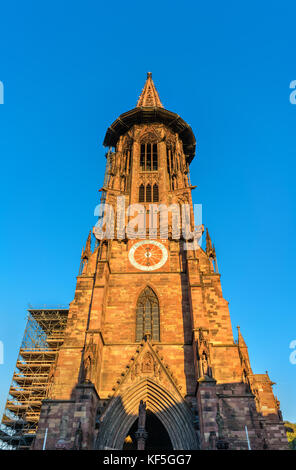 Das Freiburger Münster, der Kathedrale von Freiburg im Breisgau, im Südwesten von Deutschland Stockfoto