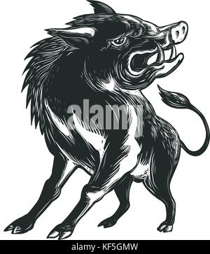 Scratchboard stil Abbildung eines zornigen wild Hog, Wildschweinen, Wildschwein oder razorback brüllend von niedrigen Winkel vor getan auf scraperboard auf gesehen Stock Vektor