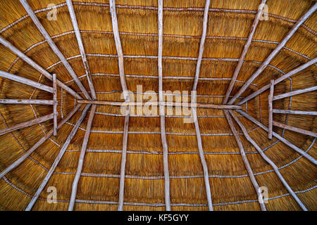 Cancun palapa Dach Hütte Detail mit getrocknetem Gras Bedachungen in Mexiko Stockfoto