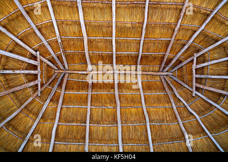 Cancun palapa Dach Hütte Detail mit getrocknetem Gras Bedachungen in Mexiko Stockfoto