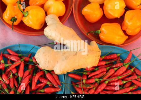 Vier Schüsseln mit roten und gelben Paprika und ein Stück frischer Ingwer Stockfoto