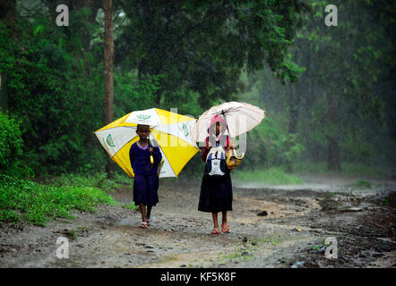 Tansanischen Kinder wandern in den starken Regen. Stockfoto