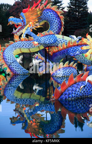 Kanada, Quebec, Montreal, Botanischer Garten, chinesischen Garten, Laternenfest, Gärten von Licht, Stockfoto