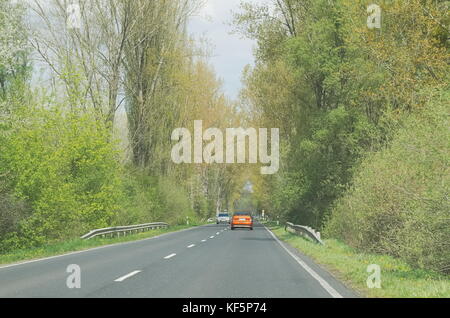 Autos durch den Wald auf einer geraden Straße an einem Frühlingstag Stockfoto