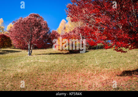 Herbst Landschaft. Farbenfrohe herbst Szene in einem Bergdorf. Stockfoto