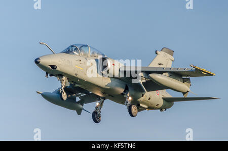 Die AMX ist ein Bodenangriffsflugzeug für Gefechtsabwehr, Nahflugunterstützung und Aufklärungsmissionen, die italienische und brasilianische Luftstreitkräfte einsetzen Stockfoto