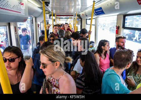 Lissabon Portugal, Carris, Tram 15, Trolley, Belem Highway Route, überfüllt, Passagier Passagiere Fahrer, stehend, hispanisch, Einwanderer, Mann Männer ma Stockfoto