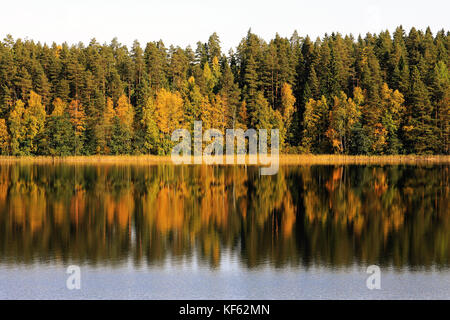 Landschaft einer Seeufer mit bunten Herbstfarben, die auf einer ruhigen, blauen See im Herbst reflektiert. Stockfoto