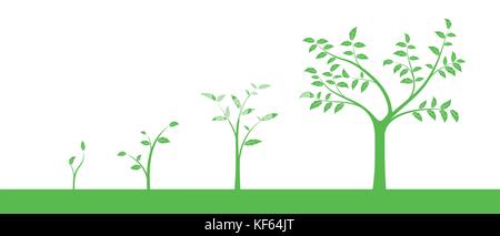 Vector Illustration einer Reihe von grünen Symbole - Pflanze oder Baum Wachstumsphase, auf weißem Hintergrund Stock Vektor