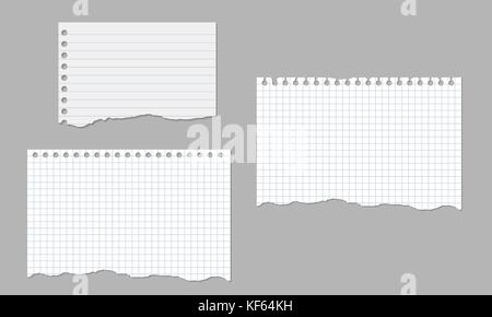 Festlegen von realistischen Vektorgrafiken zerrissenen Blätter Papier ausgekleidet und Quadrat auf weißem Hintergrund Stock Vektor