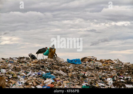 Leben im Slum in Kenia Aerias - Frau Sammeln von Materialien, die auf der größten Müllhalde, Deponie, Mairobi Kenia Dandora Stockfoto