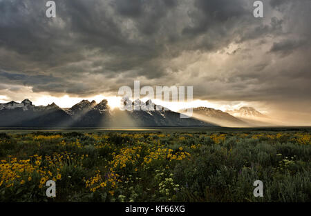 Wy 02495-00 ... Wyoming - Sonnenstrahlen, wie die Sonne über den Tetons vom Antelope flats Wiesen an einem stürmischen Tag im Grand Teton National Park. Stockfoto