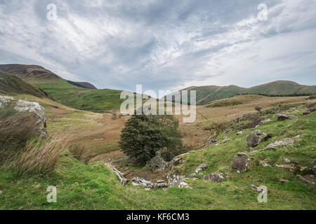 Abend Landschaft Bild von Llyn y dywarchen See in Snowdonia National Park Stockfoto