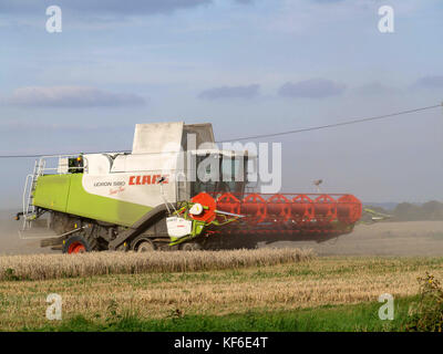 Feldhäcksler Mähdrescher bei der Arbeit im Feld im Bosham, Hampshire, England, Großbritannien Stockfoto