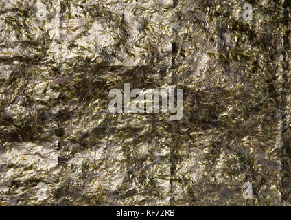 Closeup Textur von getrockneter Seetang Blätter oder Nori, Falten angezeigt Stockfoto