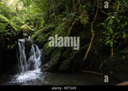 Ein idyllischer Wasserfall von hoch oben in den National Park am Mt. Kinabalu. Stockfoto