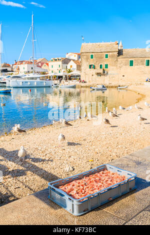 PRIMOSTEN, KROATIEN - Sep 5, 2017: Kiste mit frischen Garnelen Fische zum Verkauf am Strand in Primosten, Dalmatien, Kroatien. Stockfoto