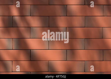 Red brick wall Textur Hintergrund mit dem Schatten des Baumes nach unten scheint. Stockfoto