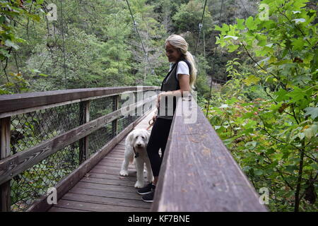 Ein Spaziergang im Wald bei Tallulah Gorge State Park. Stockfoto