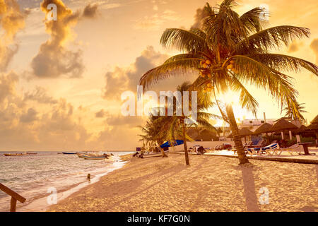 Strand in Puerto Morelos Riviera Maya Maya in Mexiko Stockfoto