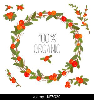 Hand gezeichnet Kranz mit roten Beeren und Zweige. runden Rahmen für Weihnachtskarten und Winter Design. Vektor Layout mit Copyspace Stock Vektor