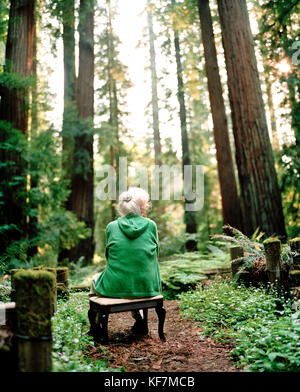 Usa, Kalifornien, Eureka, ältere Frau im Redwood Forest sitzen Stockfoto