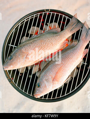 Usa, Florida, red snapper Fisch auf dem Grill, Nahaufnahme, islamorada Stockfoto