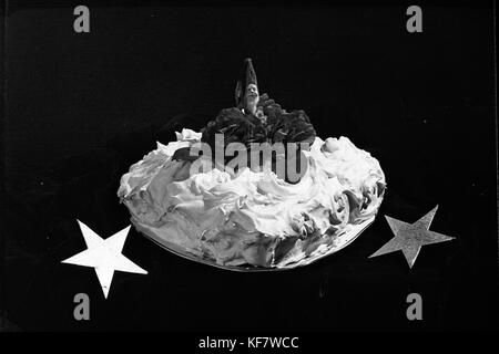 28864 Kochen Stockfoto