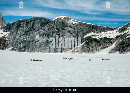 Usa, Alaska, Juneau, die Hundeschlitten durch mehrere Hunde über die Juneau eis Feld gezogen wird, Hubschrauber Hundeschlitten Tour führt Sie über die taku Glacier fliegt zu Stockfoto