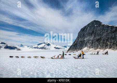 Usa, Alaska, Juneau, Hunde unter Guardian Berg auf dem Juneau eis Feld laufen, Hubschrauber Hundeschlitten Tour sie fliegt über die taku Gletscher zum helimush Stockfoto