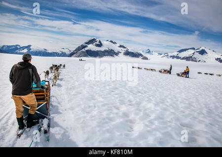 Usa, Alaska, Juneau, Hunde ziehen Schlitten und die Teilnehmer über die Juneau Eisfeld, Hubschrauber Hundeschlitten Tour sie fliegt über die taku Gletscher auf den Heli Stockfoto