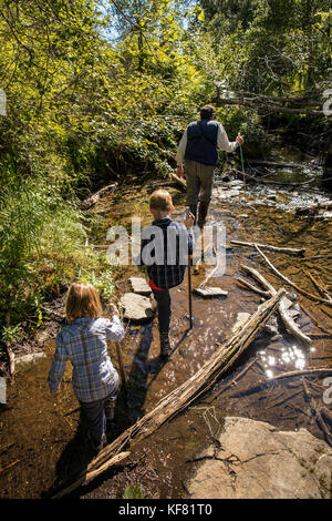 Usa, Alaska, redoute Bay, Big River Lake, Wandern auf den Bären Wege zu einem in der Nähe von See Stockfoto