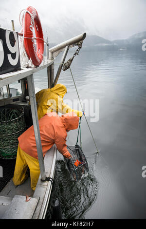 Kanada, Vancouver, British Columbia, Angeln für beschmutzt Garnelen in der Burrard Inlet, an Bord der Yacht organische Ozean Stockfoto