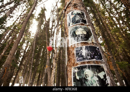 Usa, Colorado, Aspen, ein Heiligtum eingeweiht Garcia der Grateful Dead zu Gerry ist in den Wäldern auf Ajax mountian versteckt, Aspen Ski Resort Stockfoto