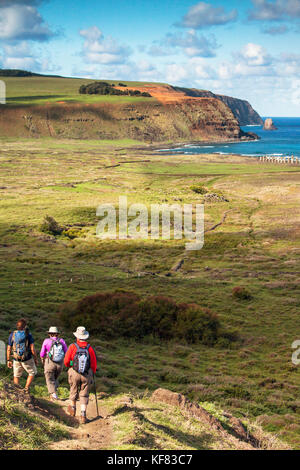 Easter Island, Chile, Isla de Pascua, Rapa Nui, Rano Raraku ist eine vulkanische Krater an den unteren Hängen des terevaka, es versorgt fast 95% der Insel Stockfoto