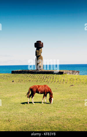 Easter Island, Chile, Isla de Pascua, Rapa Nui, Pferde vor dem ahu ko te statue Weiden, mit restaurierten Augen, die auf dem tahai cerem befindet. Stockfoto