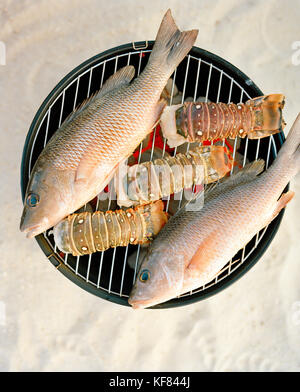 Usa, Florida, Kochen Fisch und Hummer Schwänze auf Grill, Nahaufnahme, islamorada Stockfoto