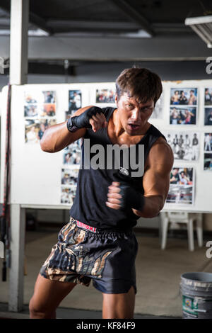 Usa, Oahu, Hawaii, mma Mixed Martial Arts Ultimate Fighter Lowen tynanes Züge und spieren an seiner Turnhalle in Honolulu. Stockfoto