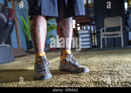 Usa, Oahu, Hawaii, ein Boxer Schuhe und tätowiert Beine zu einem Boxing Gym in Honolulu. Stockfoto