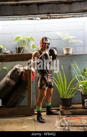 Usa, Oahu, Hawaii, Portrait von Mma Mixed Martial Arts Ultimate Fighter Lowen tynanes bei seinem Training Gym in Honolulu. Stockfoto