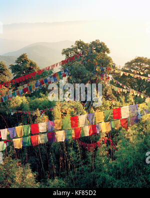 India, West Bengal, bunte Gebetsfahnen aufhängen über Bäume, Tiger Hill Stockfoto