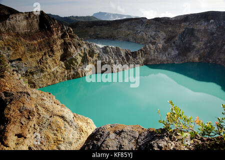 Indonesien, Flores, der höchste Aussichtspunkt im Nationalpark und Vulkan Kelimutu mit Blick auf tiwu nuwa Muri koo fai und tiwu ata Polo vulkanischen Seen Stockfoto