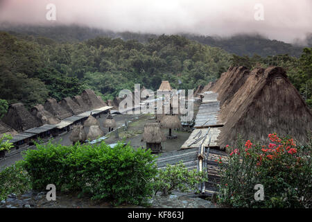 Indonesien, Flores, küchelberg der traditionellen Häuser im Dorf bena Stockfoto