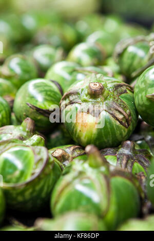 Mauritius, flacq, Tomaten zum Verkauf auf dem Markt in flacq, die größte Open-Air-Markt in Mauritius, Mauritius Stockfoto