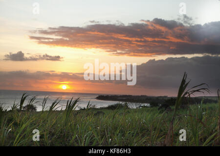 Mauritius, Zuckerrohrfelder und den Indischen Ozean an der Westküste bei Sonnenuntergang Stockfoto