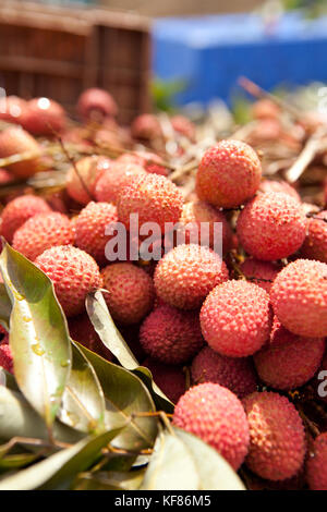 Mauritius, flacq, die größte Open-Air-Markt in Mauritius, flacq Markt, litschi Obst zum Verkauf Stockfoto