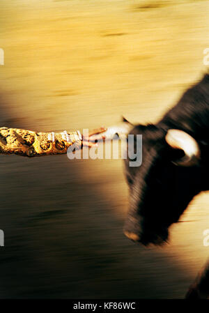 Mexiko, Tijuana, Matador von Stier mit hatte auf Horn, Aktion blur Stockfoto