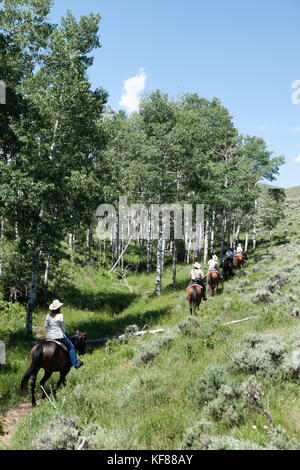 Usa, Wyoming, Lager, Pferde und Reiter wandern durch eine Aspen Grove Stockfoto