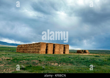 Usa, Wyoming, Lager, frisch gestapelten Strohballen in einer offenen Wiese unter einem stürmischen Himmel, Big Creek Ranch Stockfoto